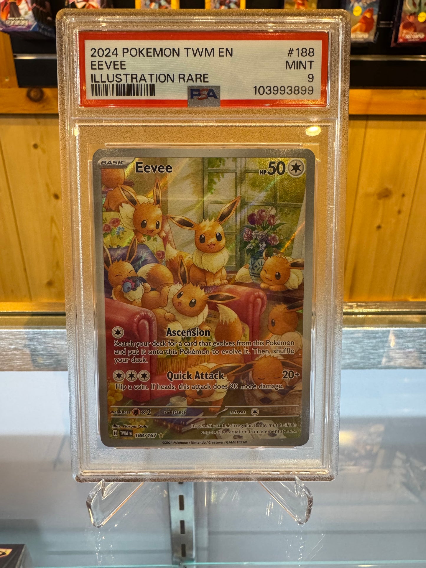 Pokémon TCG - Twilight Masquerade Eevee IR PSA 9