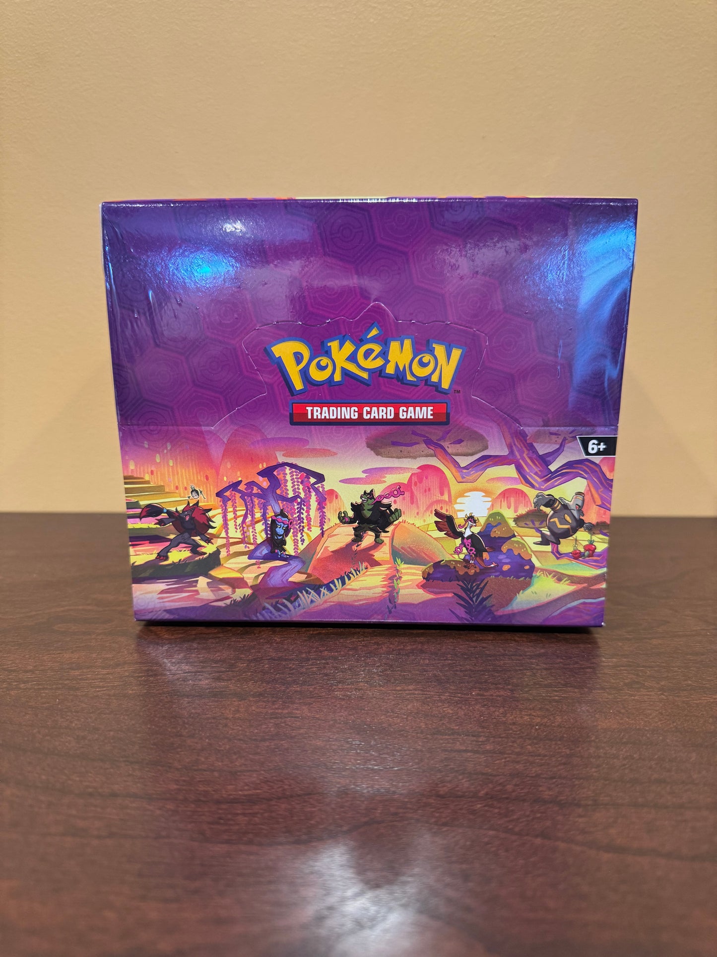 Pokémon TCG - Shrouded Fable Mini Tin Display